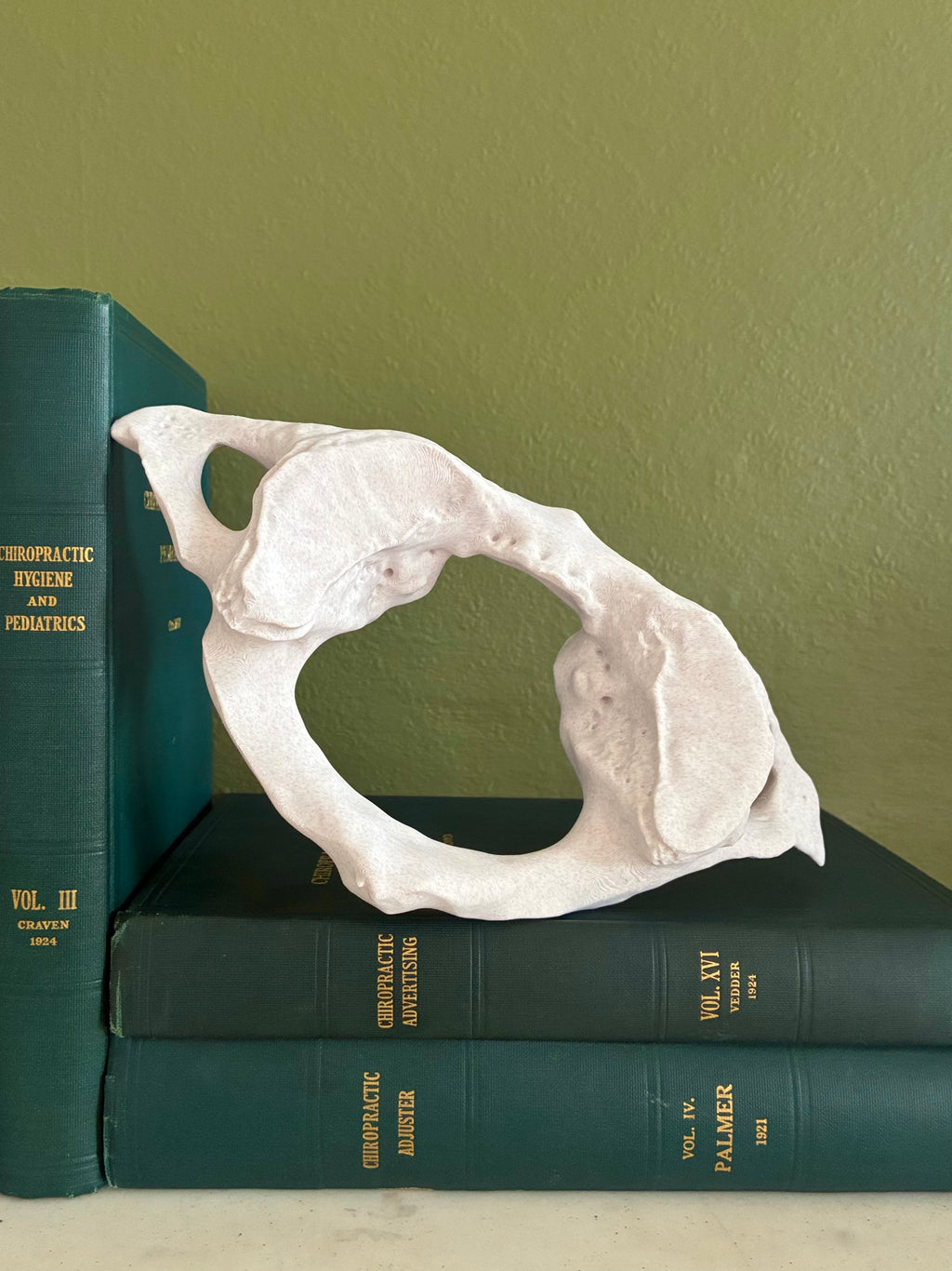 Atlas Model