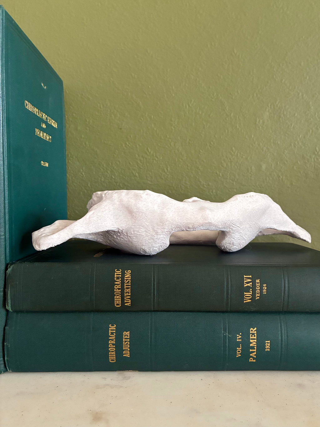 Atlas Model