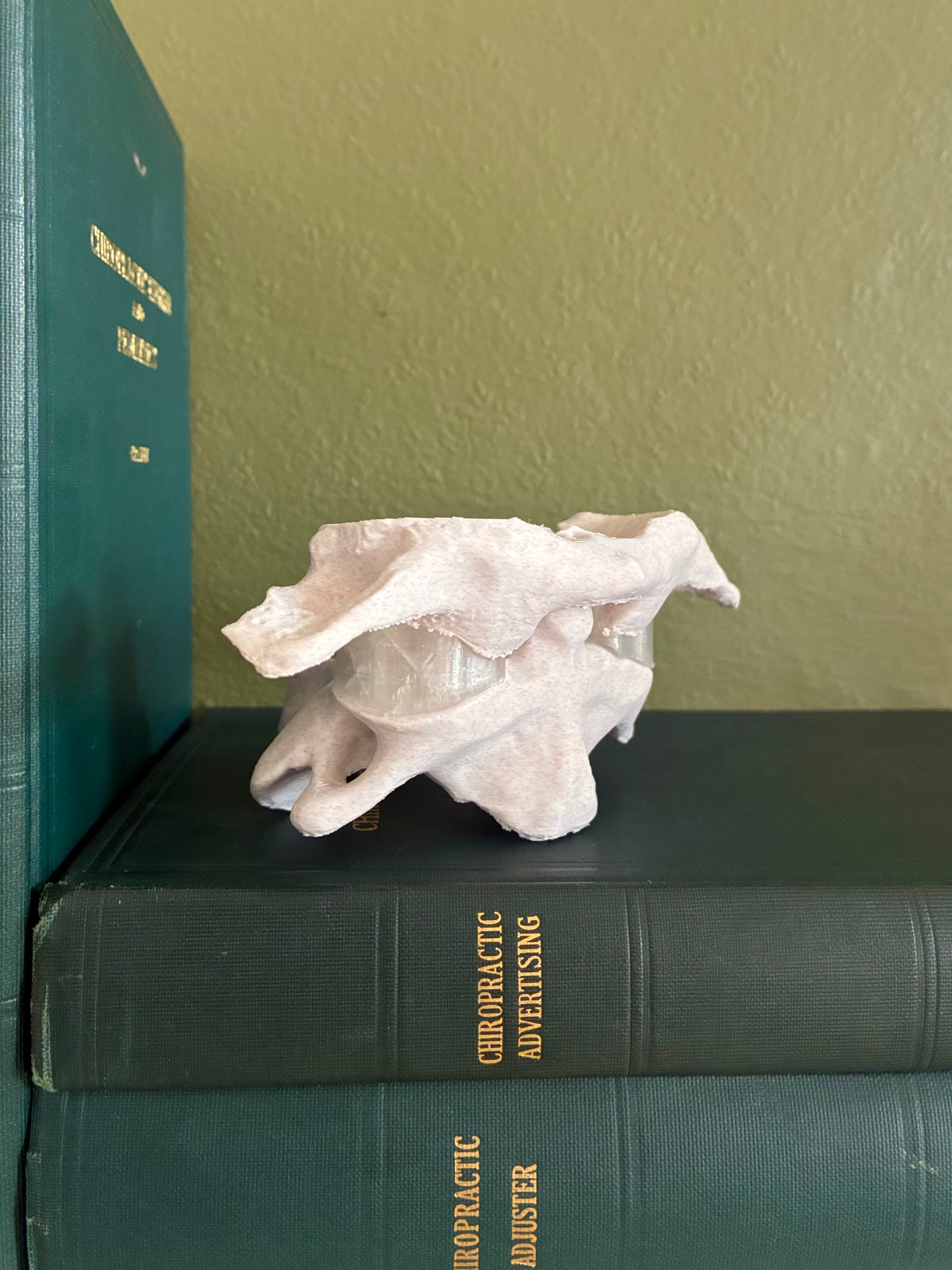 Atlas/Axis Articulated Model