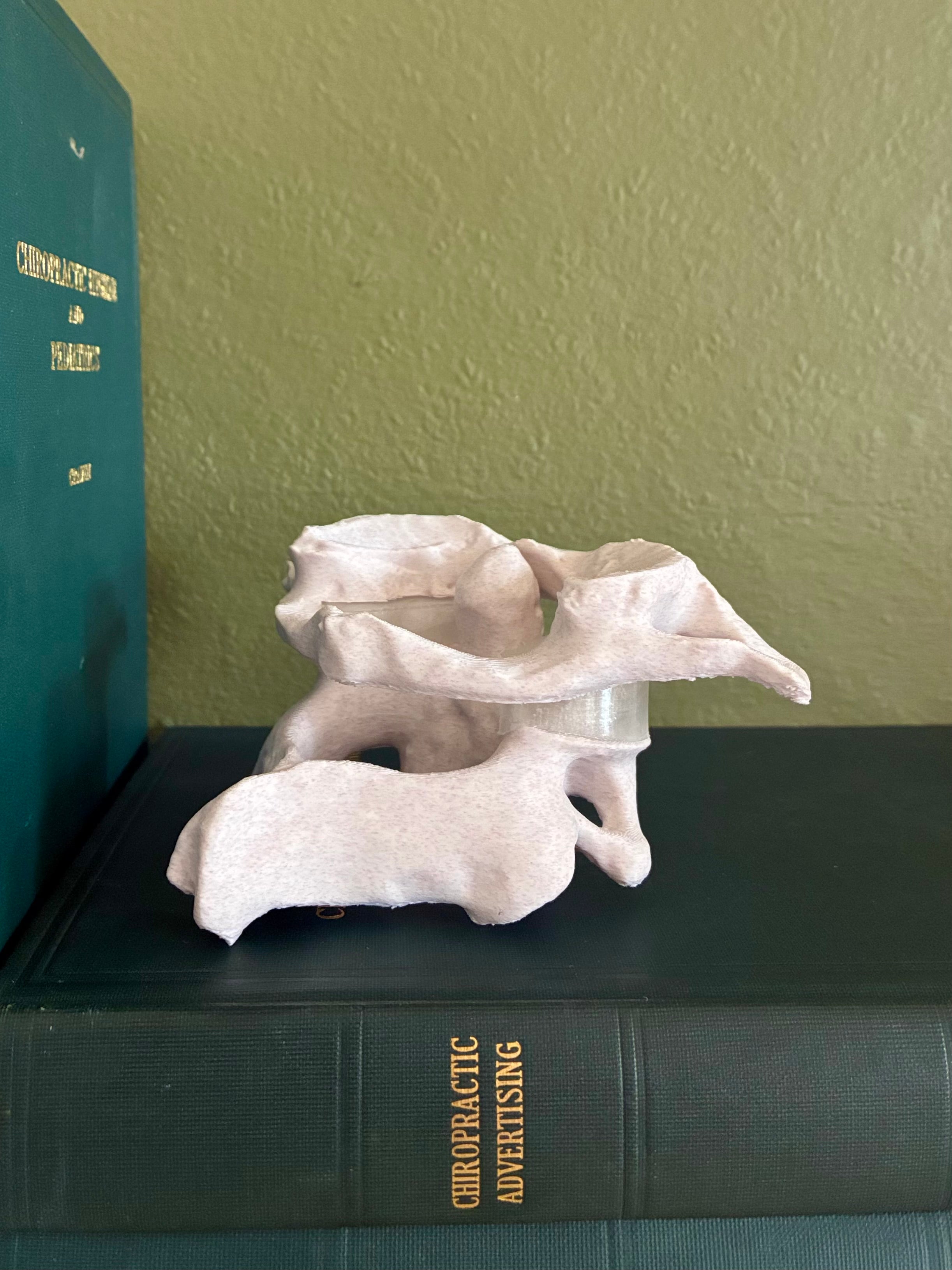 Atlas/Axis Articulated Model