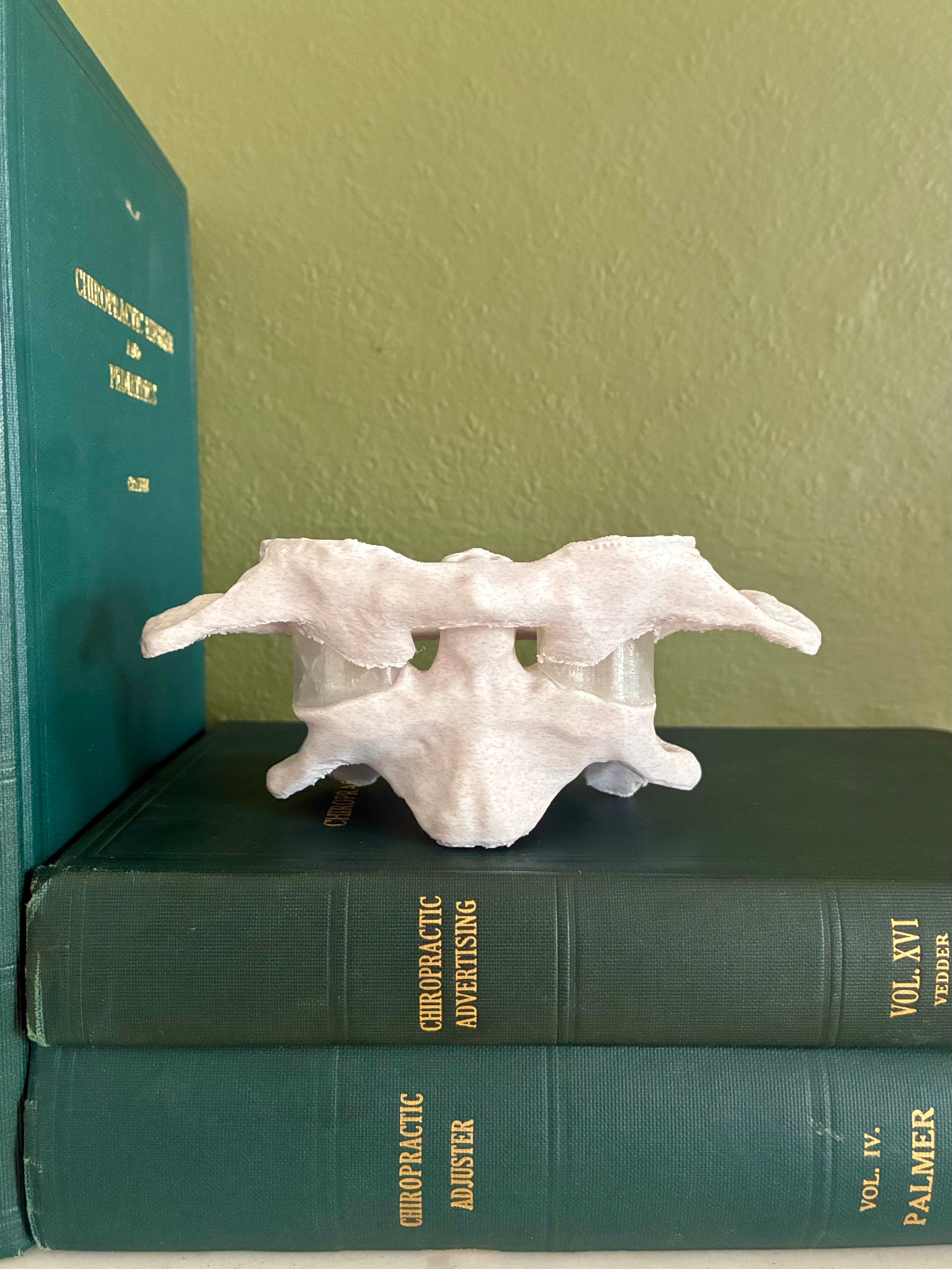 Atlas/Axis Articulated Model