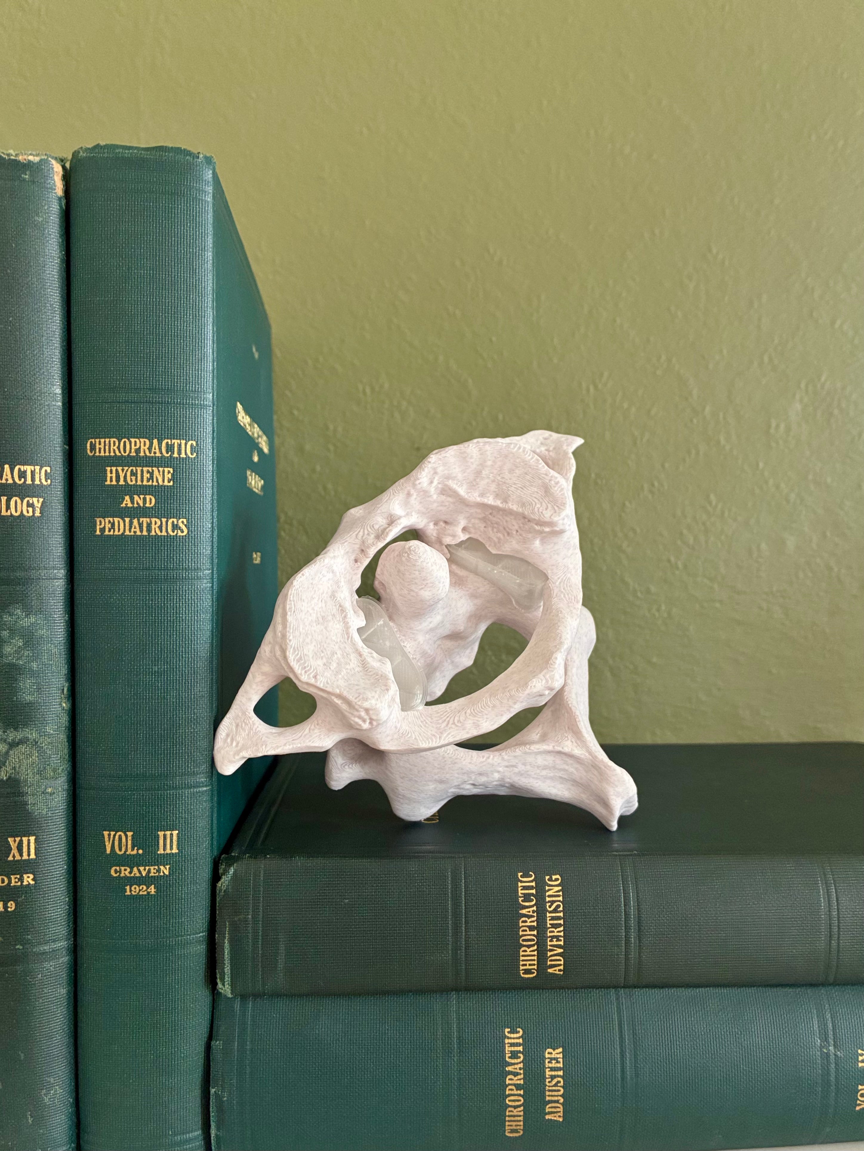 Atlas/Axis Articulated Model