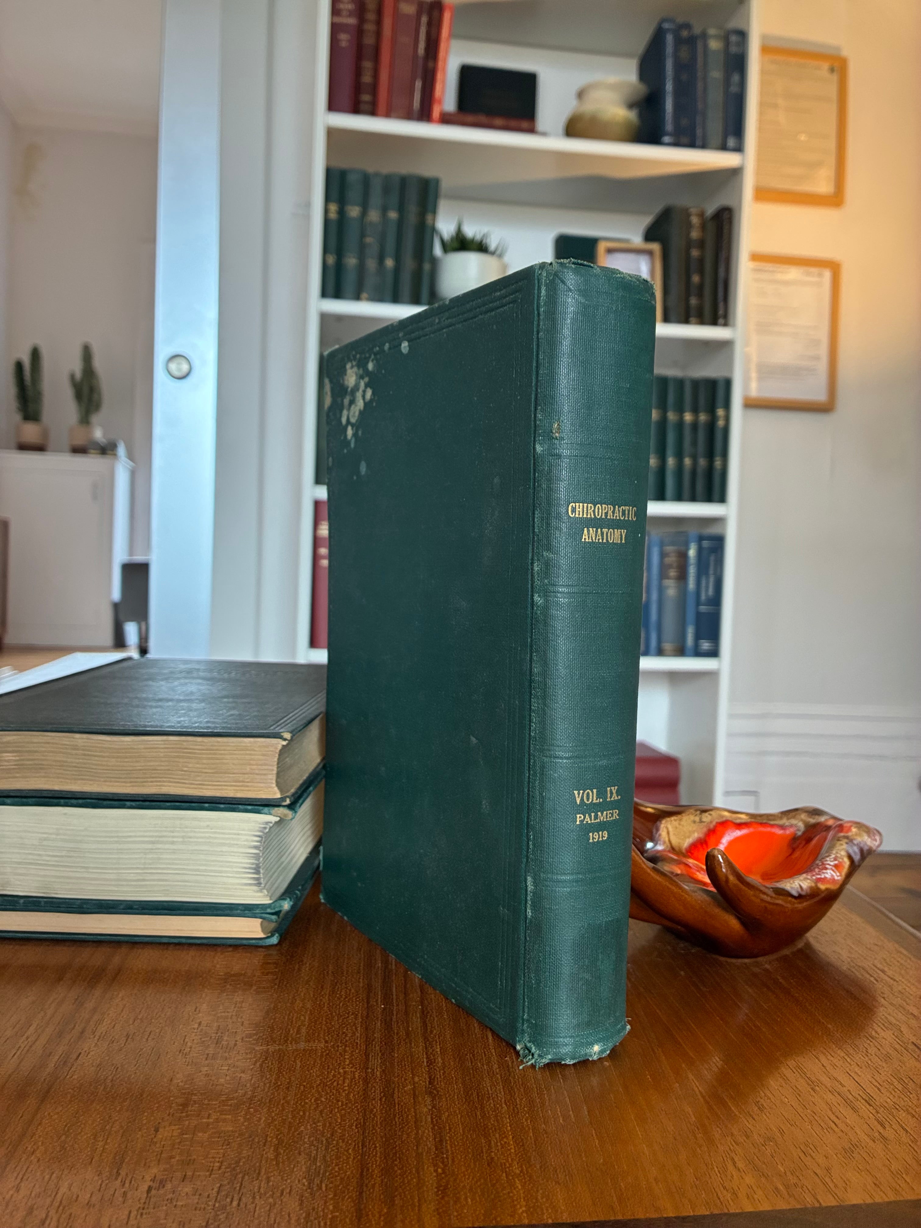 Chiropractic Anatomy