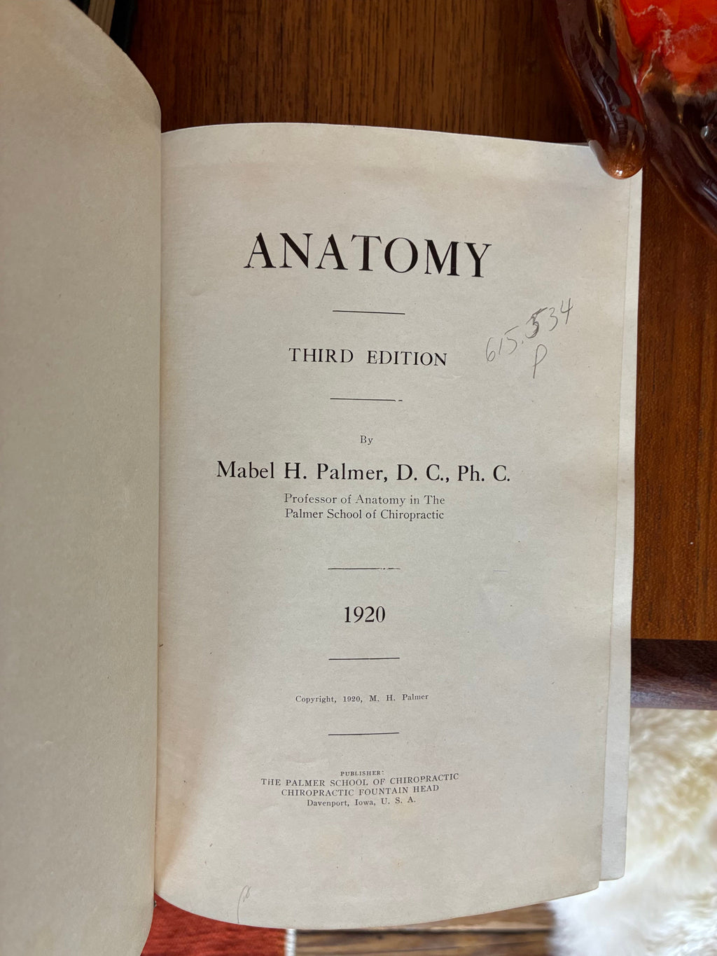 Chiropractic Anatomy