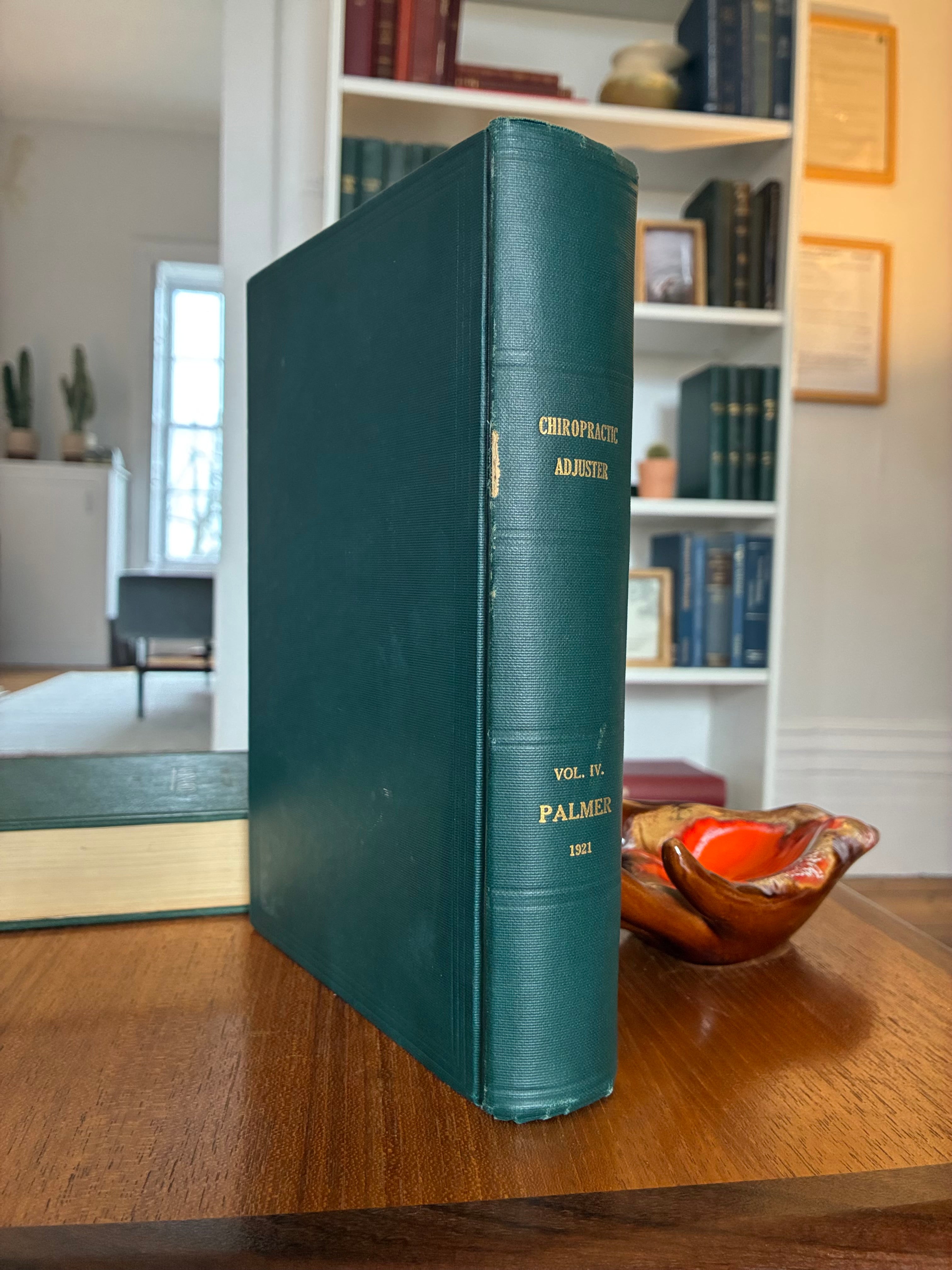 The Chiropractic Adjuster