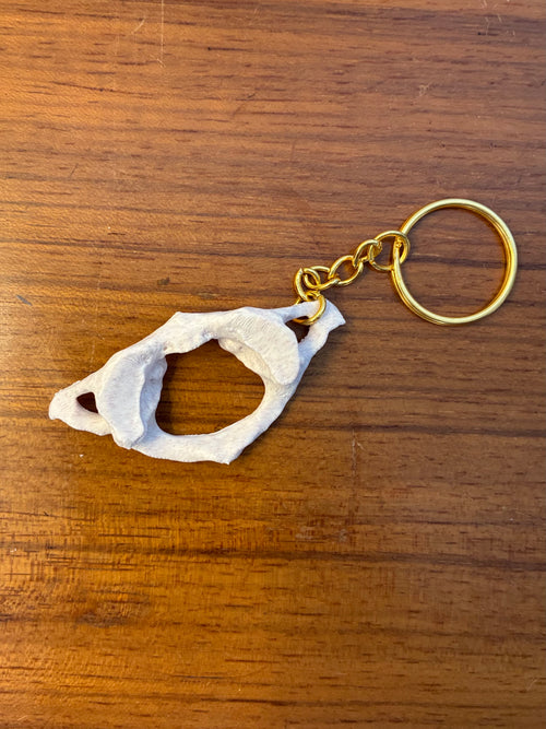 Atlas Keychain